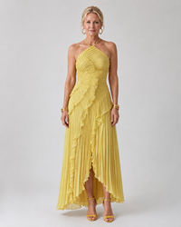 Naomi | Pleated Halter Maxi Dress